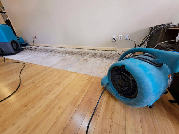 Professional Emergency Water Damage technician working in Sparks Glencoe, MD